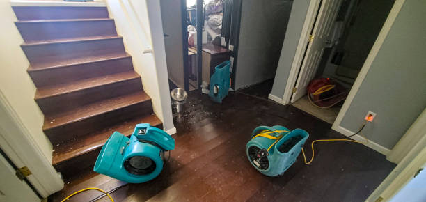  Brookfield, NJ Water damage restoration Pros
