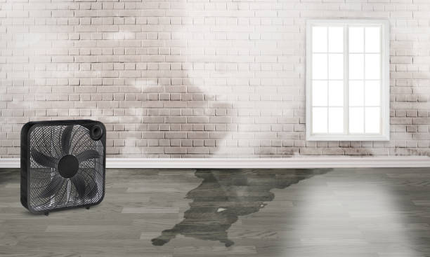 Best Sewage cleanup and water damage restoration  in Brookfield, NJ