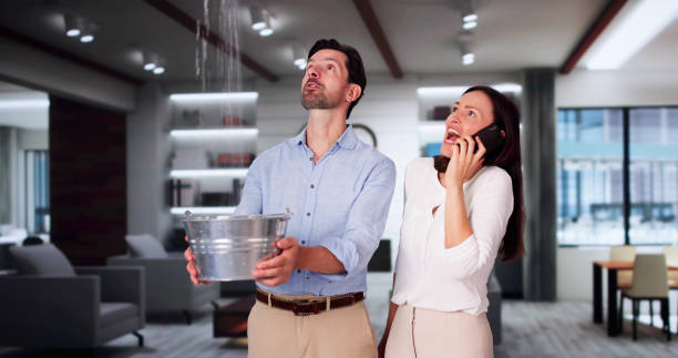  Brookfield, NJ Water damage restoration Pros